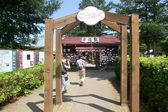 Kw